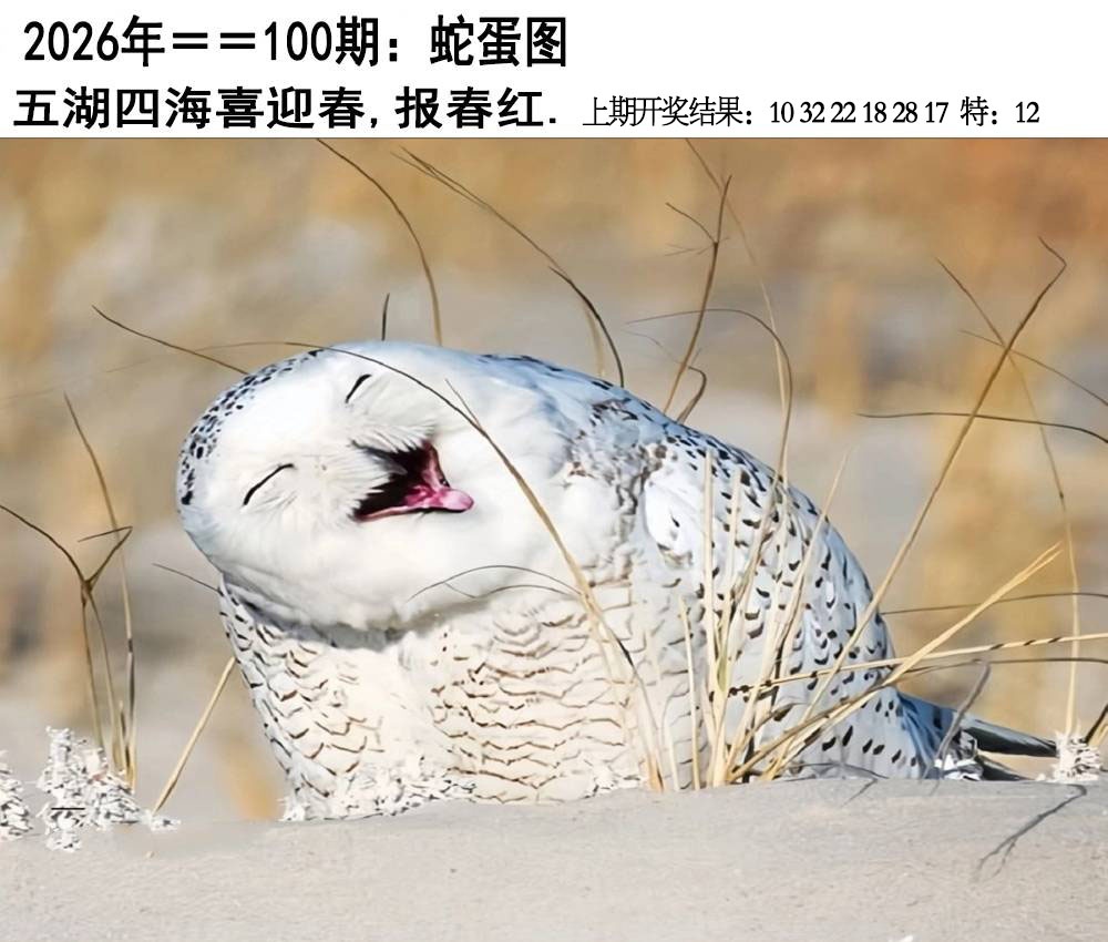 100期另版蛇蛋图[图]